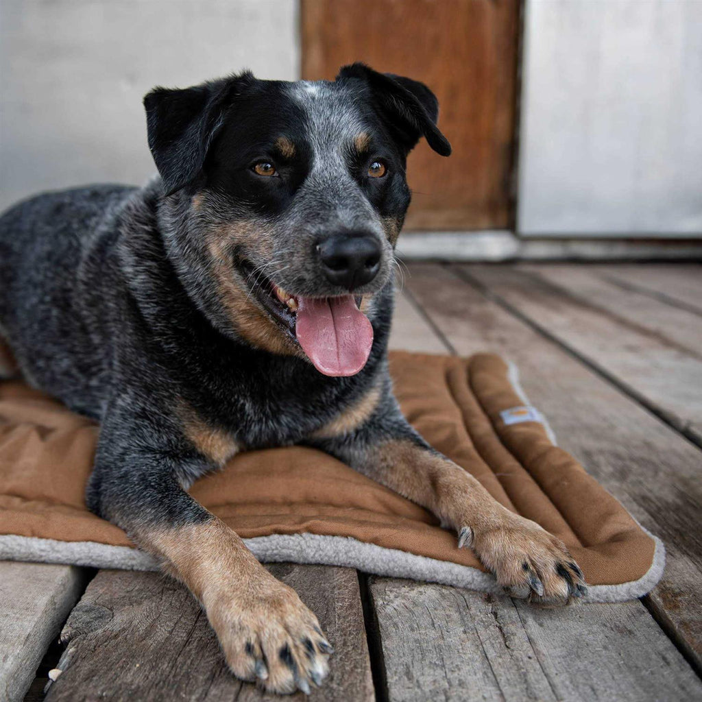 Dog Pad D383456