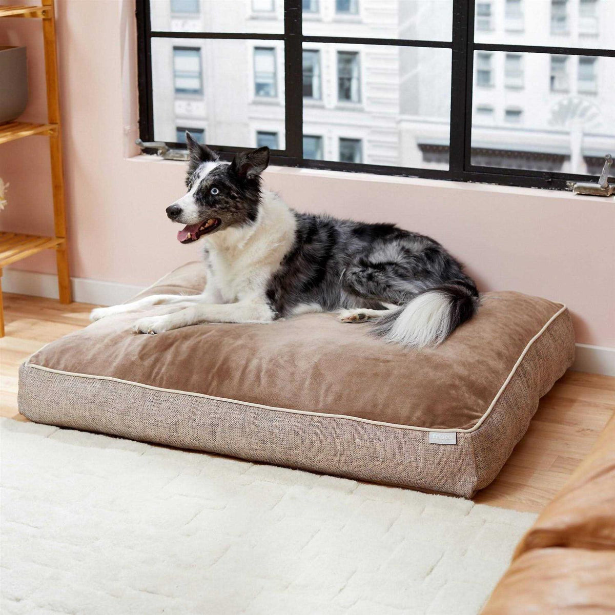 Plush Orthopedic Dog Bed with Removable Cover G67535