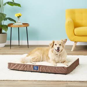 Orthopedic Quilted Pillowtop Dog & Cat Bed, Mocha, Large P45707
