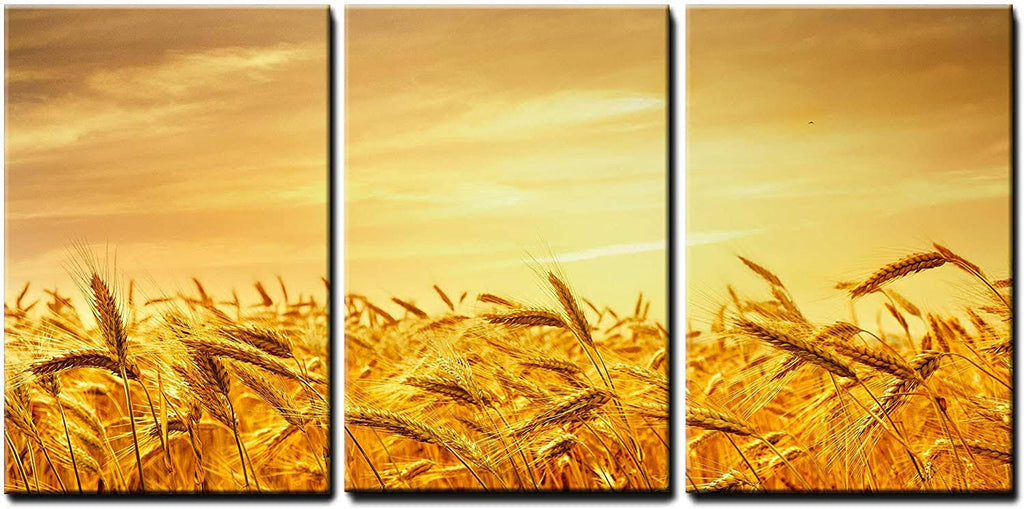 Orange X3 Panels Wall Art W2392