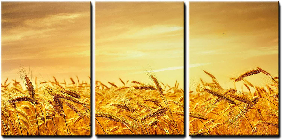 Orange X3 Panels Wall Art W2392