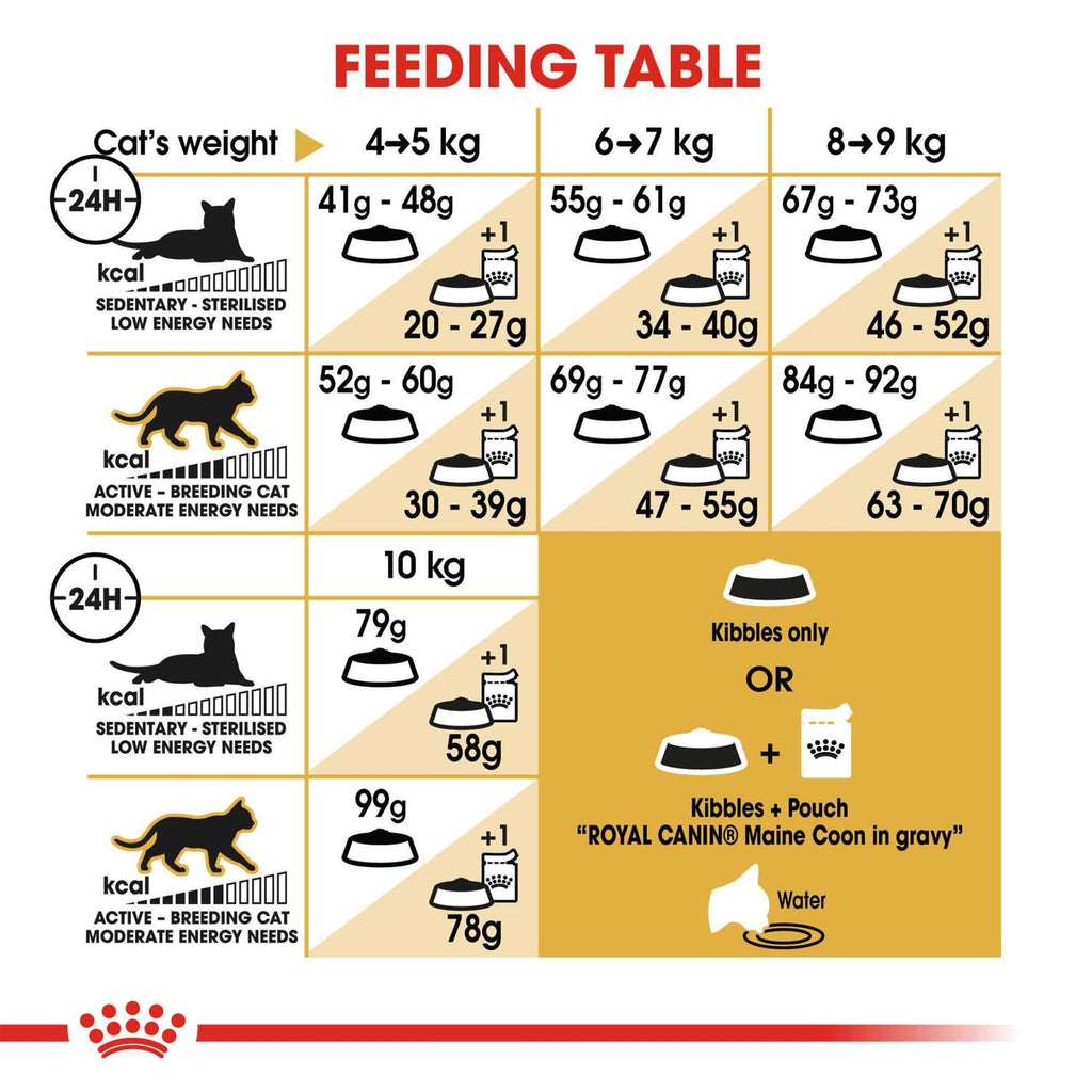 Maine Coon Dry Cat Food B5706