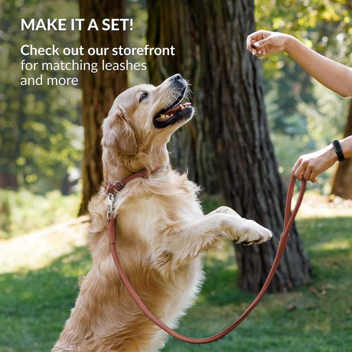 Rolled Leather Dog Collar X1201