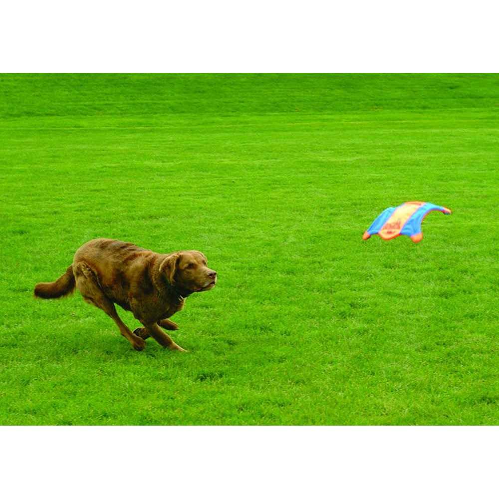 Flying Squirrel Toy R900
