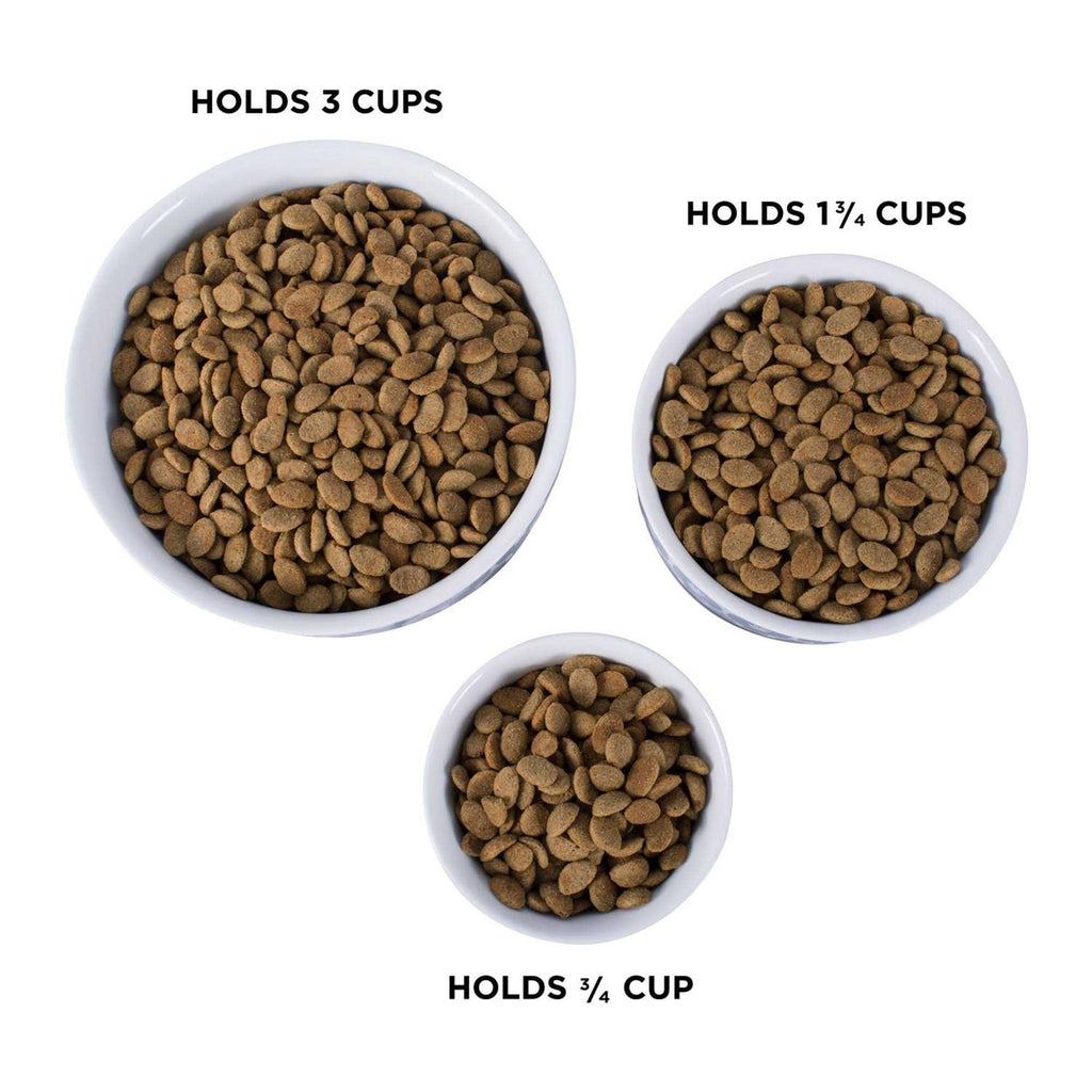Bone Dry Paw Patch Pet Bowl F588