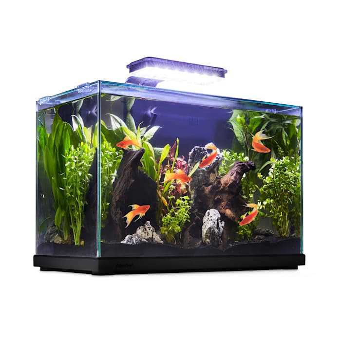 Glass Aquarium A561205