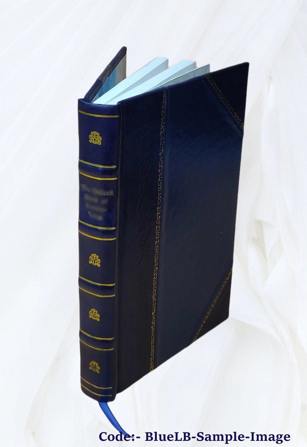 1911 Leather Bound Fashion Gravures P757