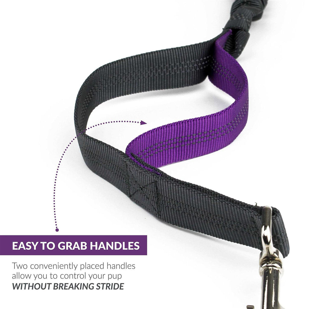 Hands Free Dog Leash E6947