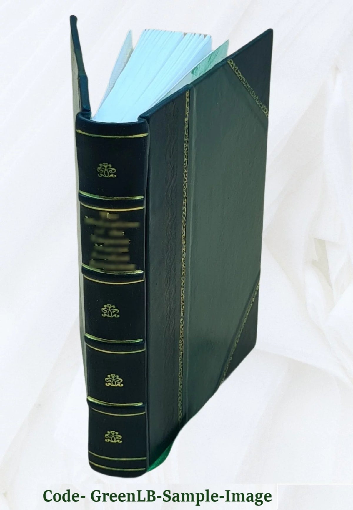 1911 Leather Bound Fashion Gravures P757