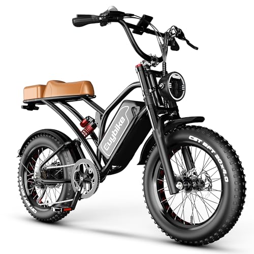 2000W Electric Bike with 48V Battery 20"x4.0" Fat Tires A1055