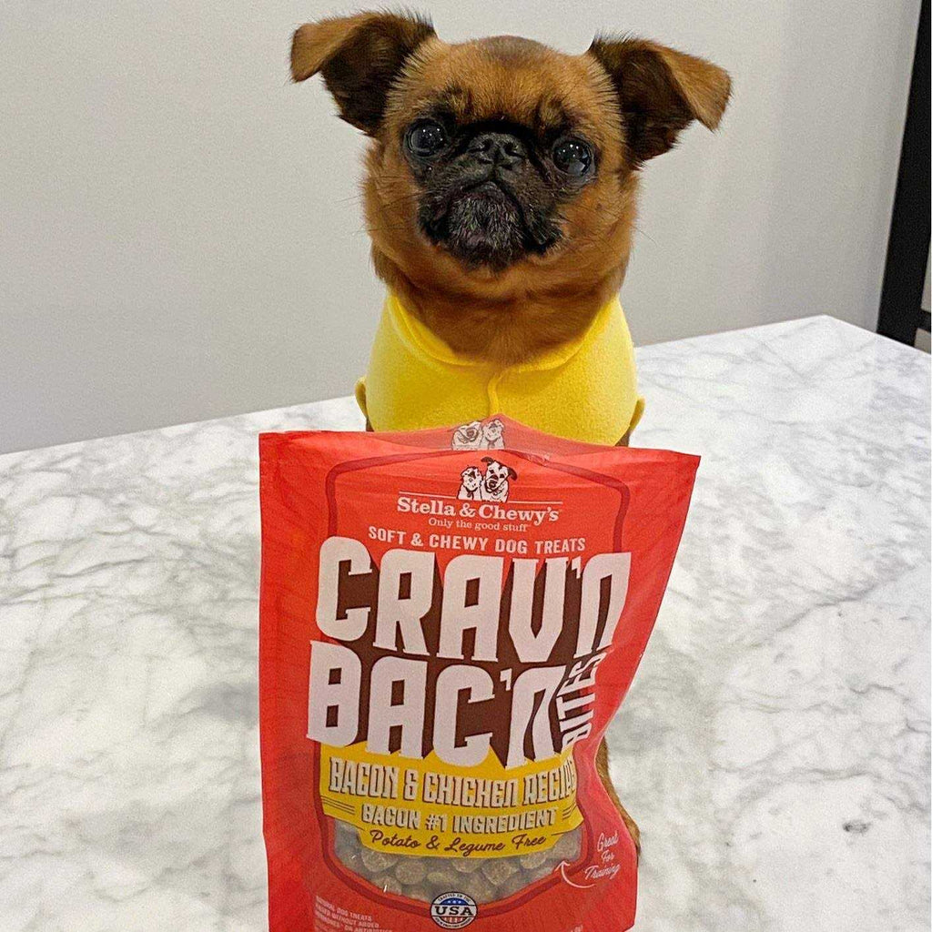 Bacon Dog Treats V889