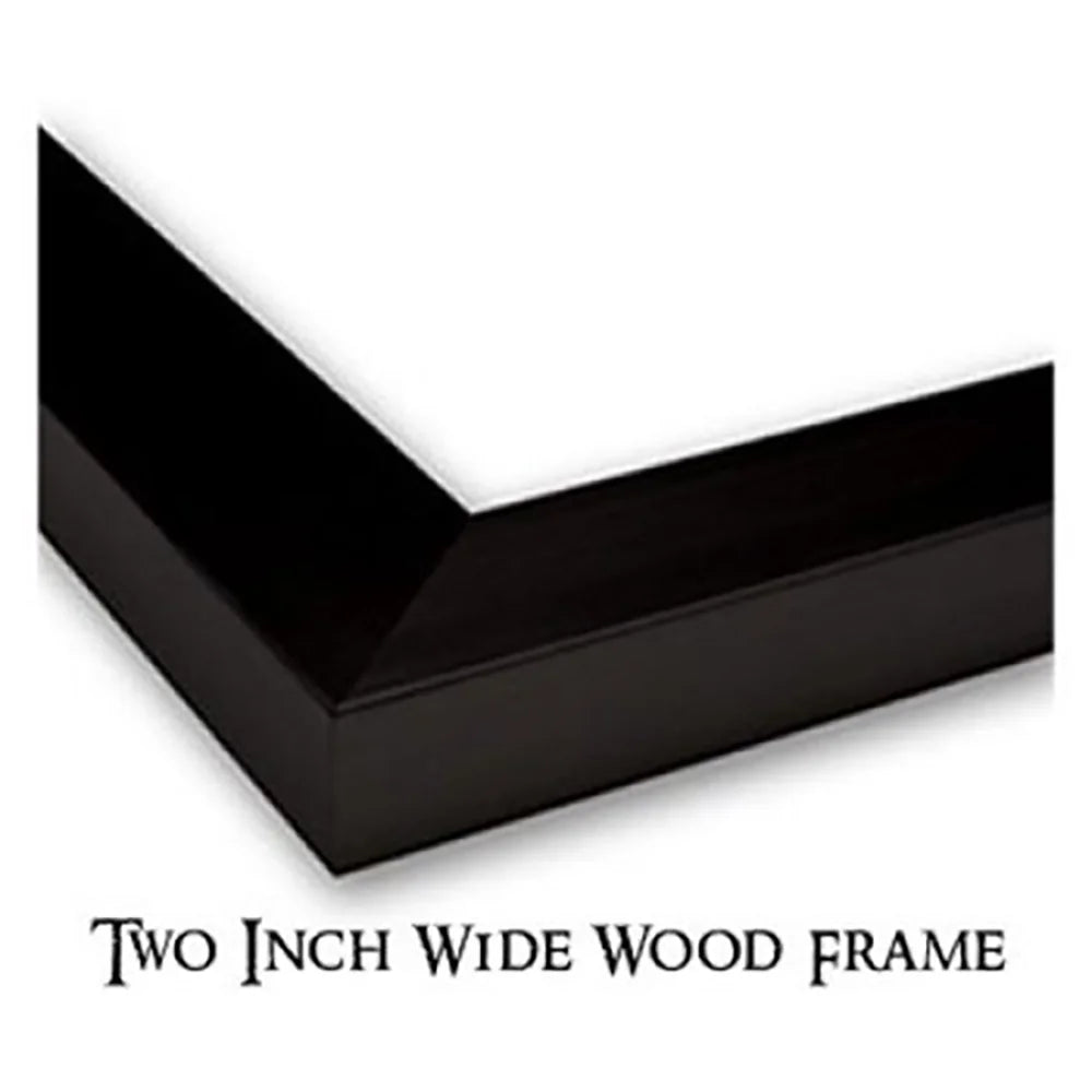 Black Modern Framed Museum Art Print Q345