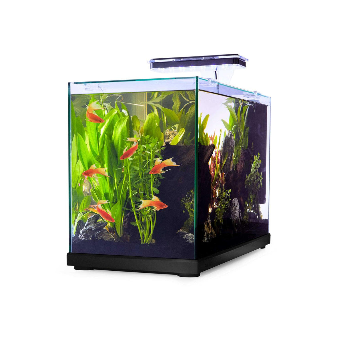 Glass Aquarium A561205