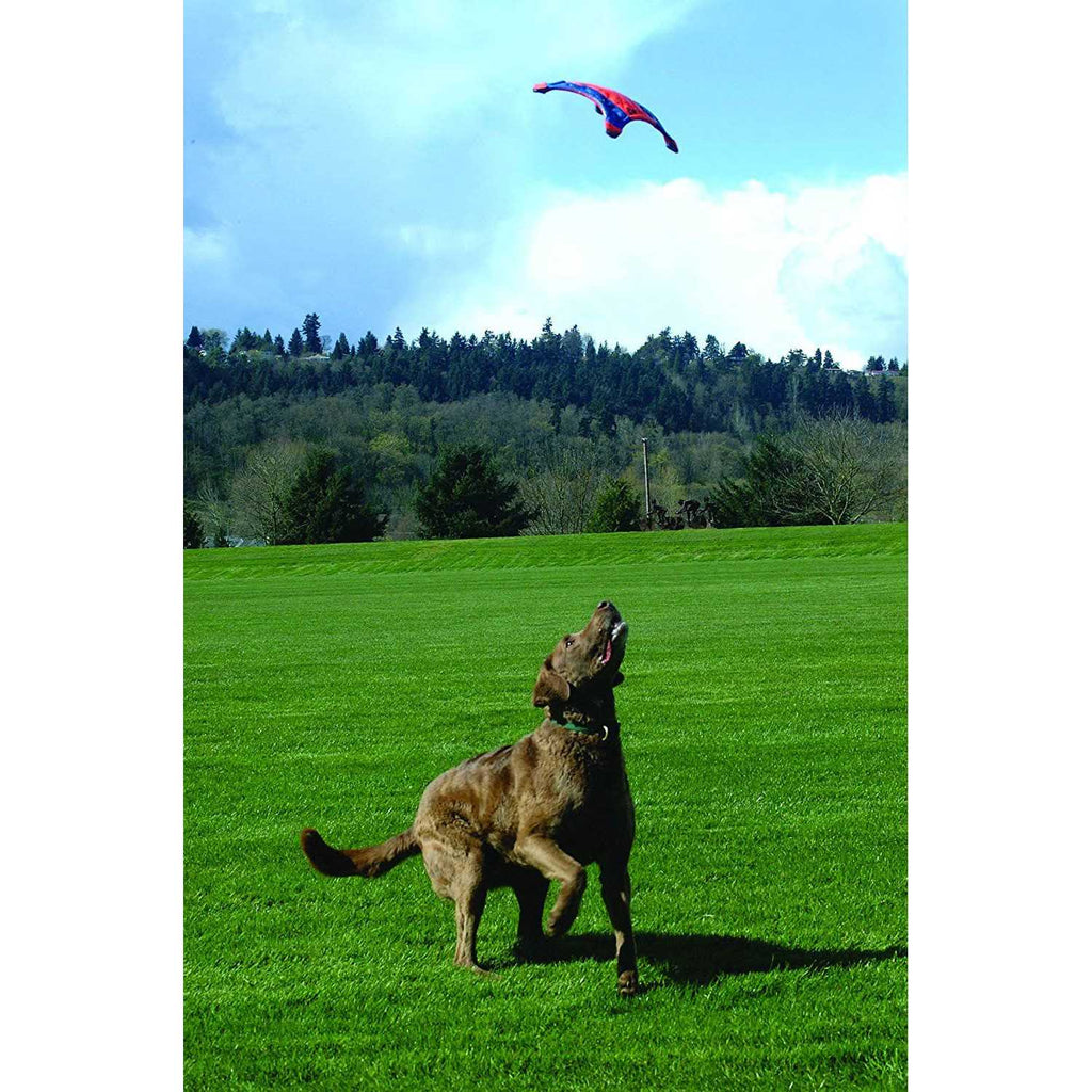 Flying Squirrel Toy R900