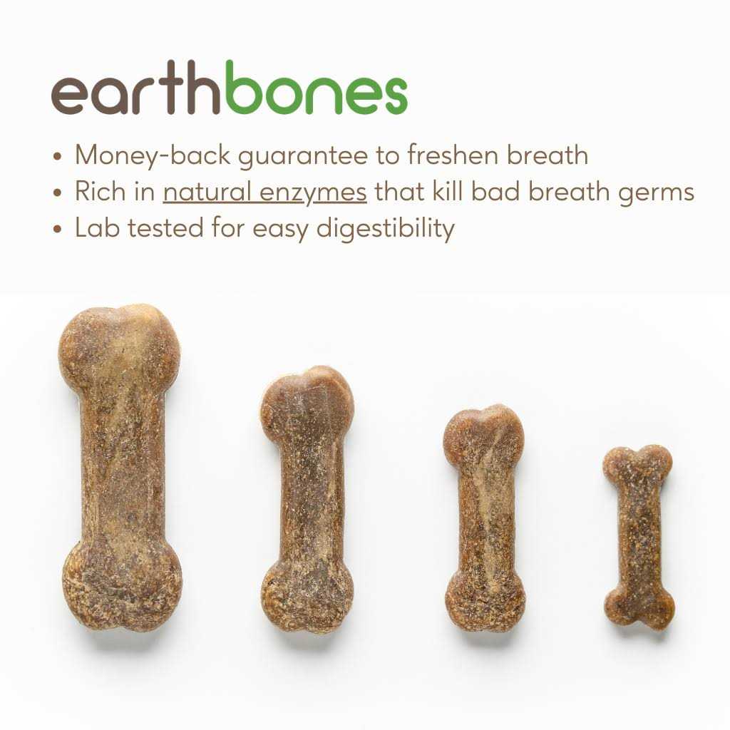 Dental Chews for Dogs B60911