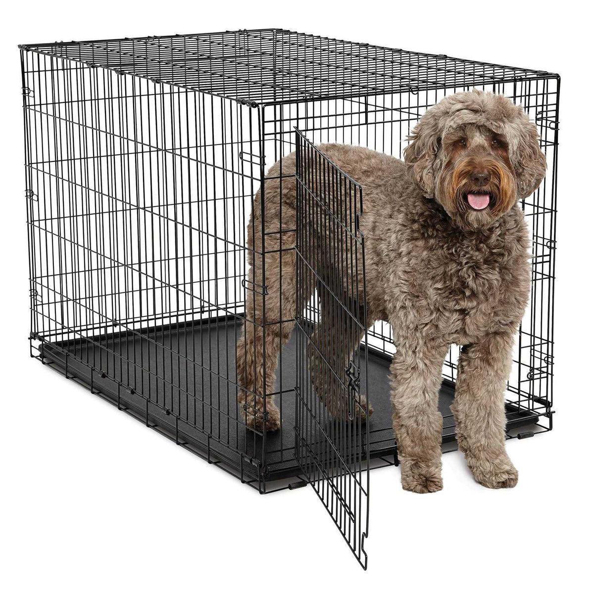 Single-Door Dog Crate Q479997