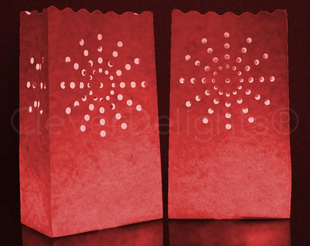 50 Count Luminary Bags B773047