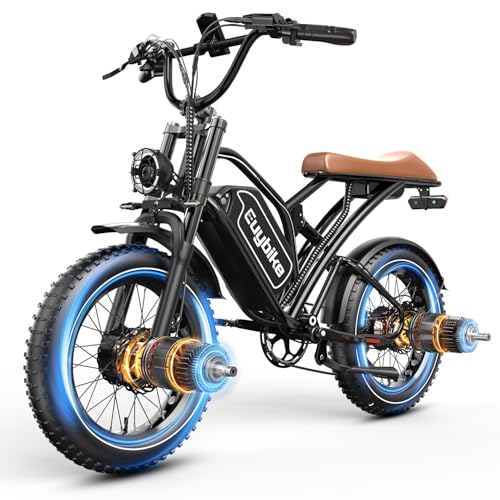 2000W Electric Bike with 48V Battery 20"x4.0" Fat Tires A1055