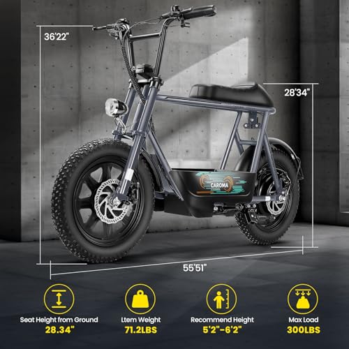 Electric Scooter with Seat, Fat Tire, Storage Basket Z886