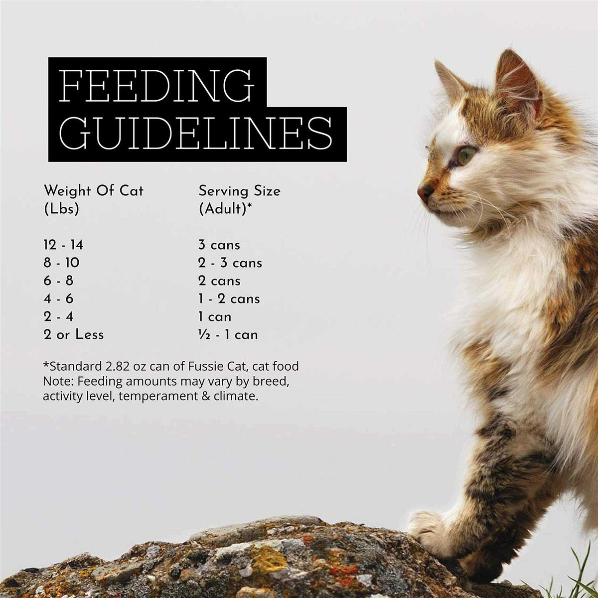Tuna Cat Food G703921