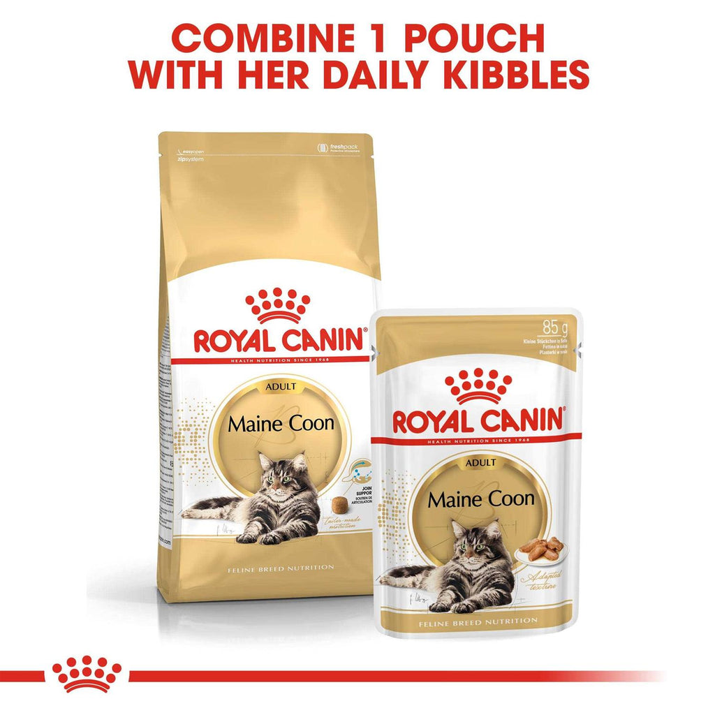 Maine Coon Dry Cat Food B5706
