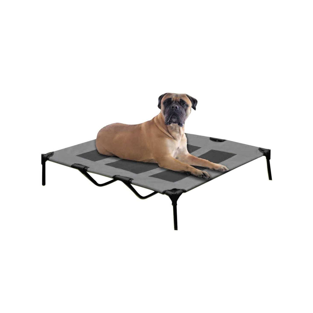 Cot Dog Bed B89648