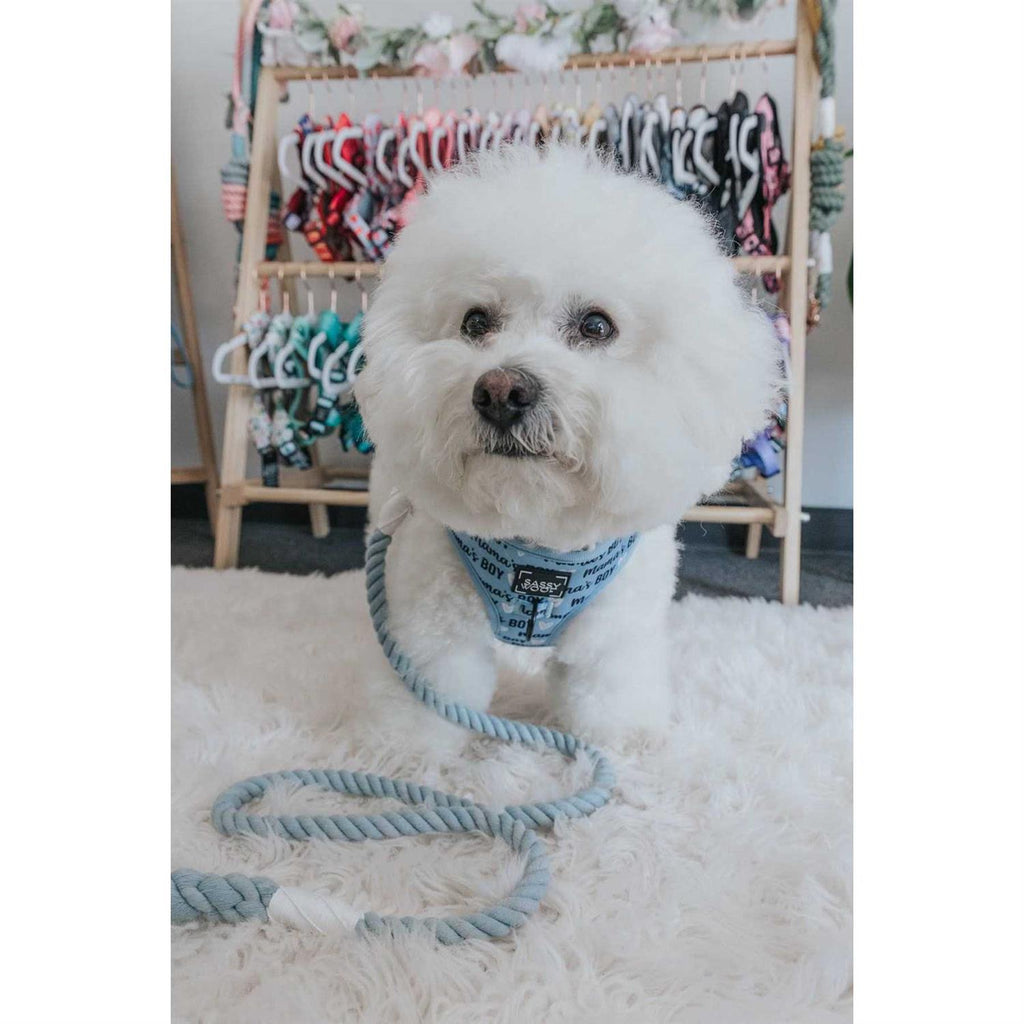Dog Rope Leash A95963