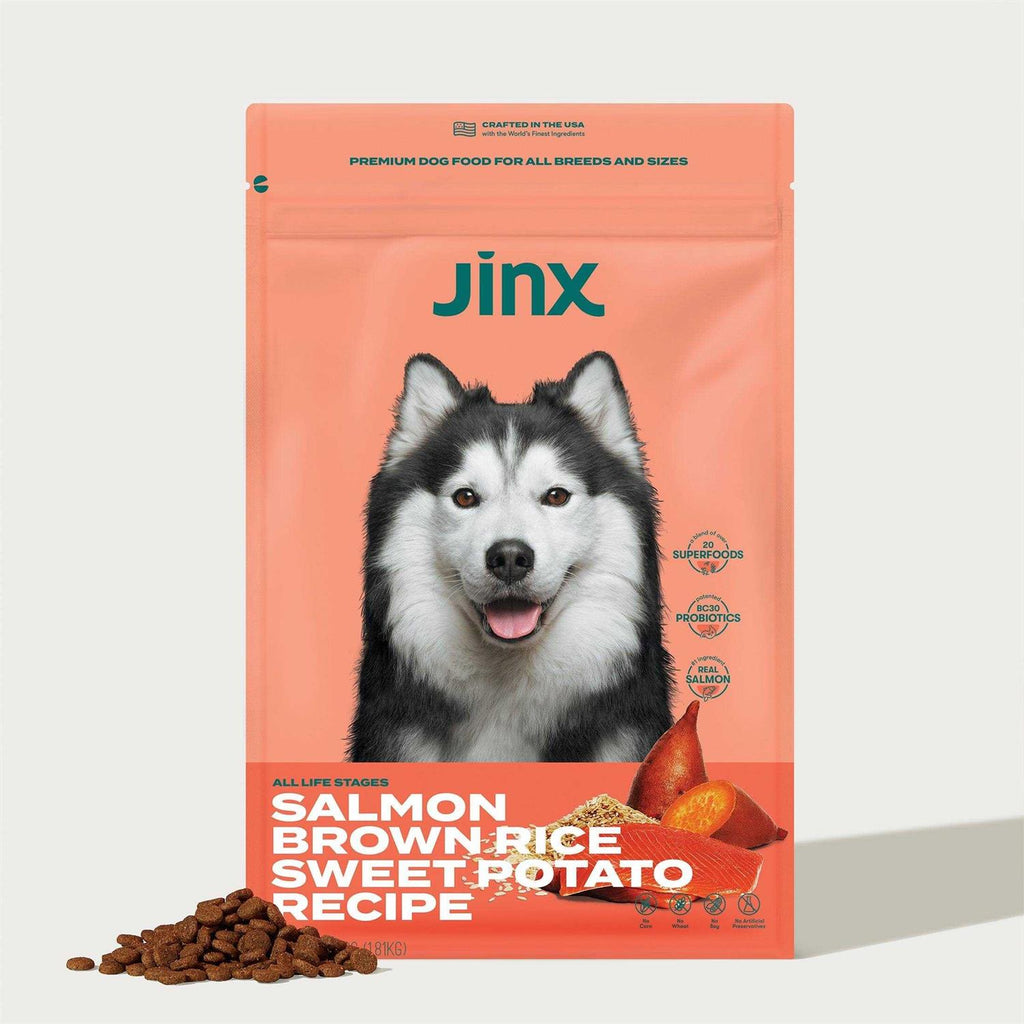 Salmon Brown Rice & Sweet Potato Dry Dog Food U62602