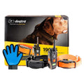 2 Dog Remote Training Collar R66596