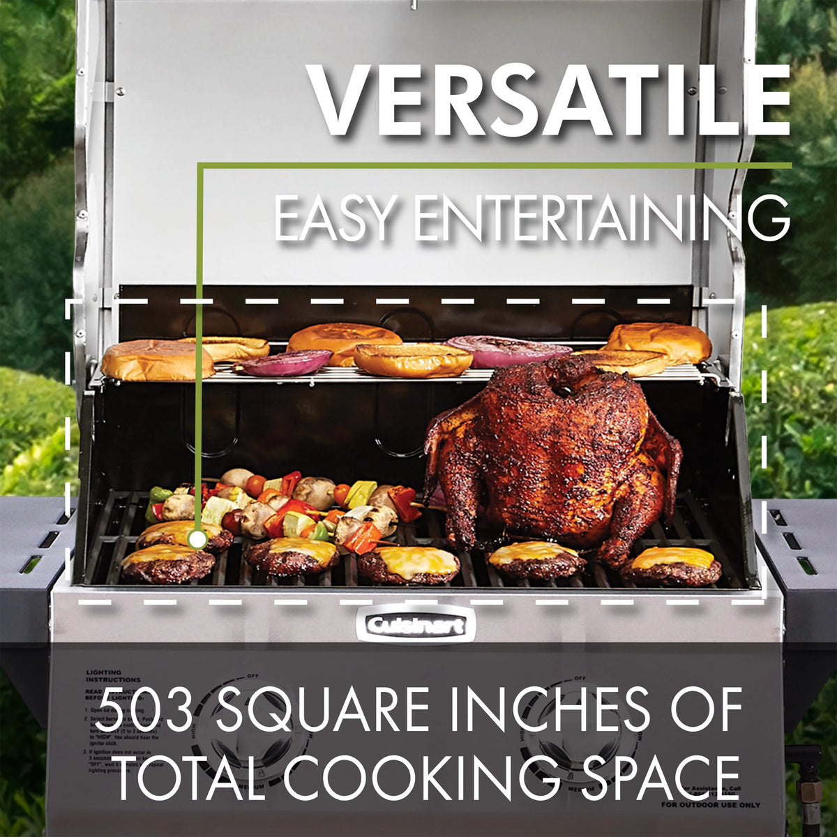 2-Burner Dual Fuel Gas Grill L536
