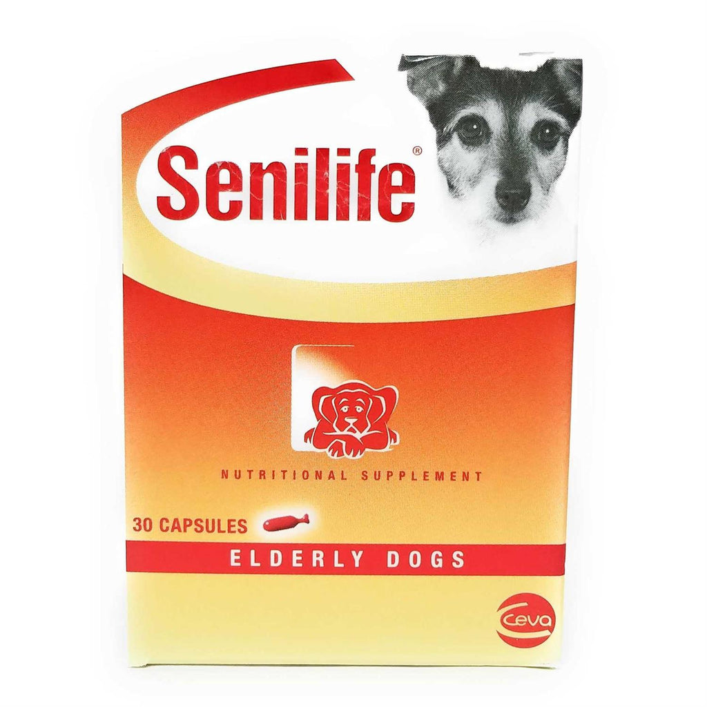 Nutritional Supplement for Elderly Dogs Q515883