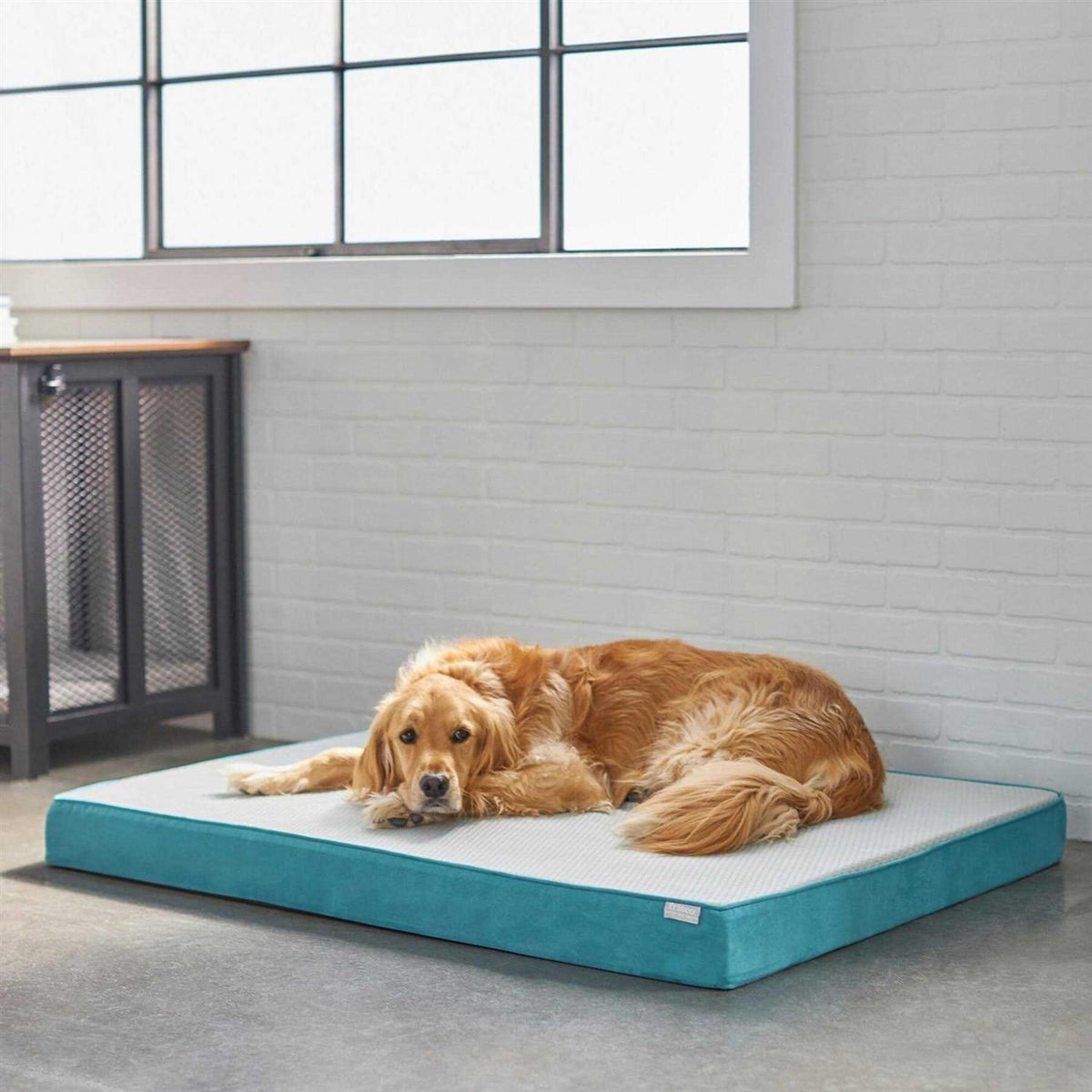 Cooling Orthopedic Dog Bed with Removable Cover Large W807