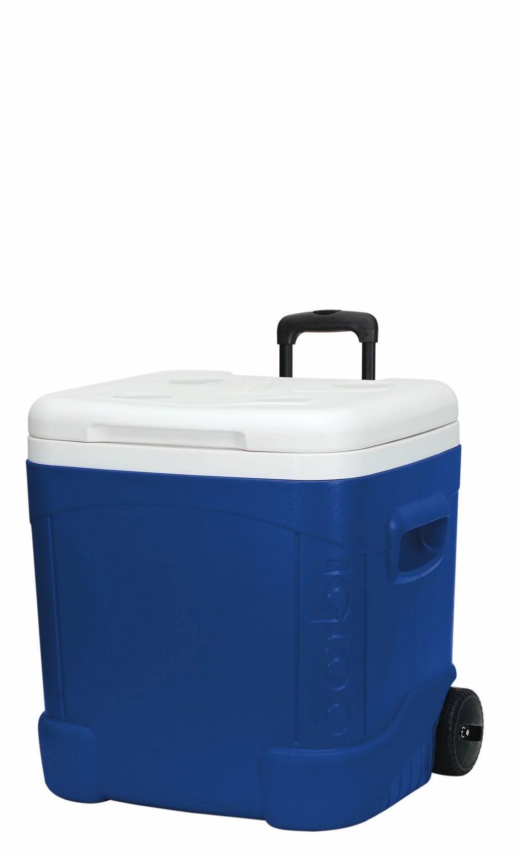60-Quart Roller Cooler V124103