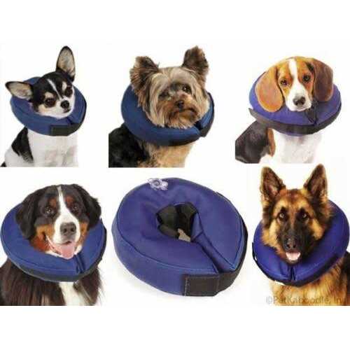 E Collar T43558