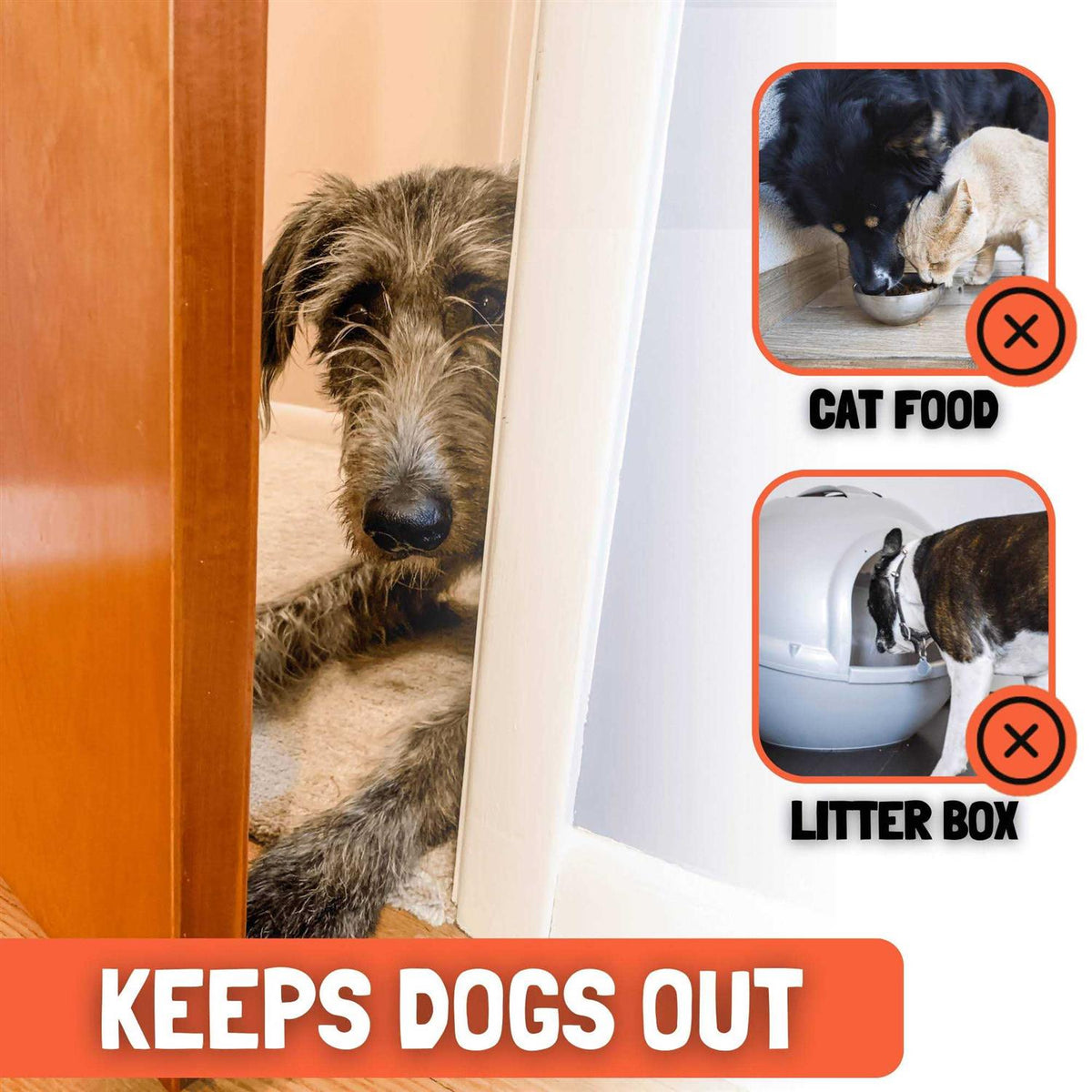 Cat Door Prop W18614