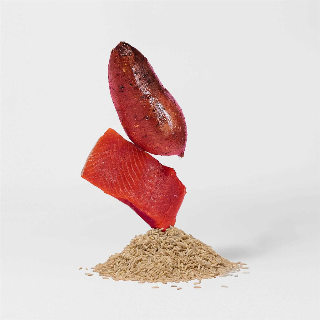 Salmon Brown Rice & Sweet Potato Dry Dog Food U62602