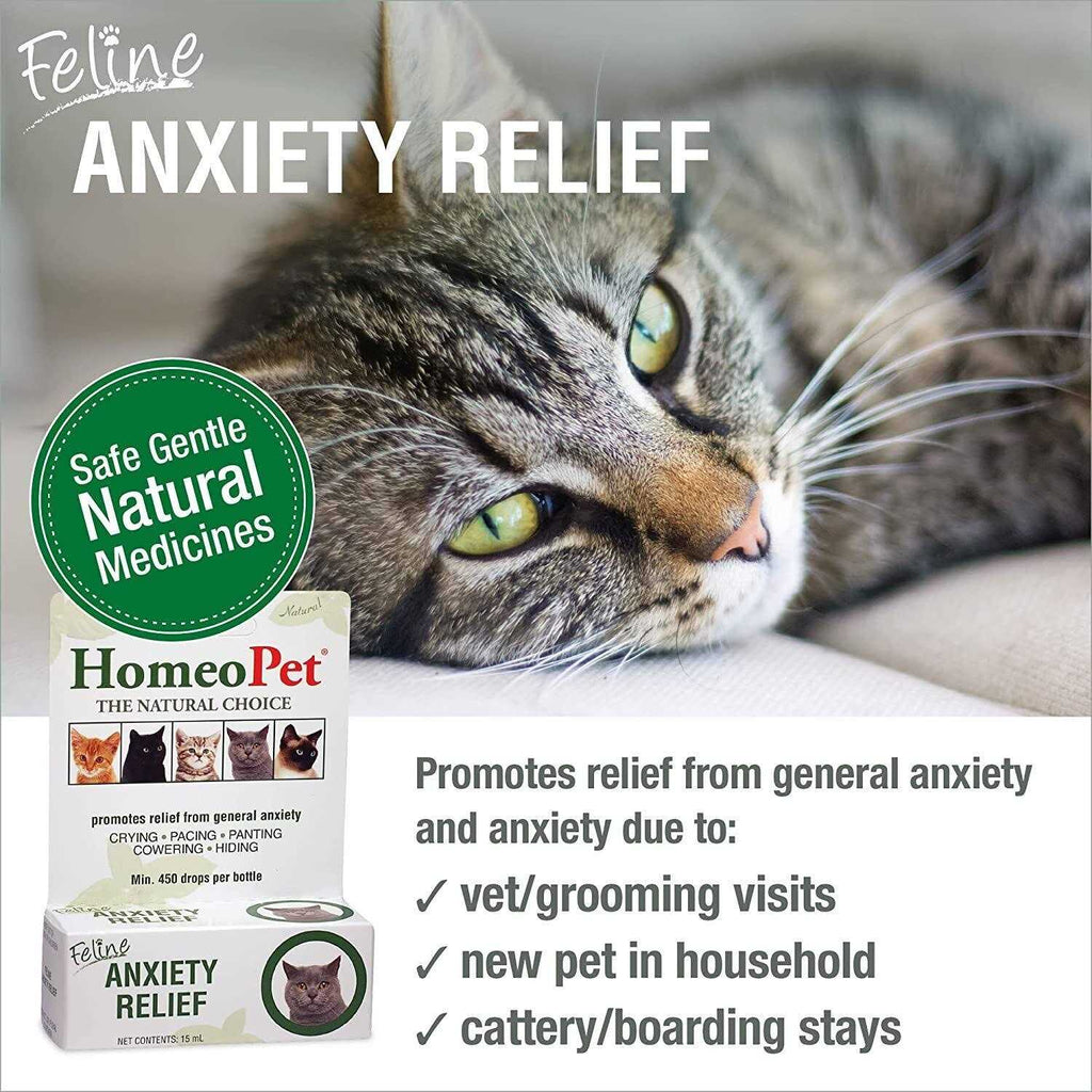 Feline Nose Relief R522293