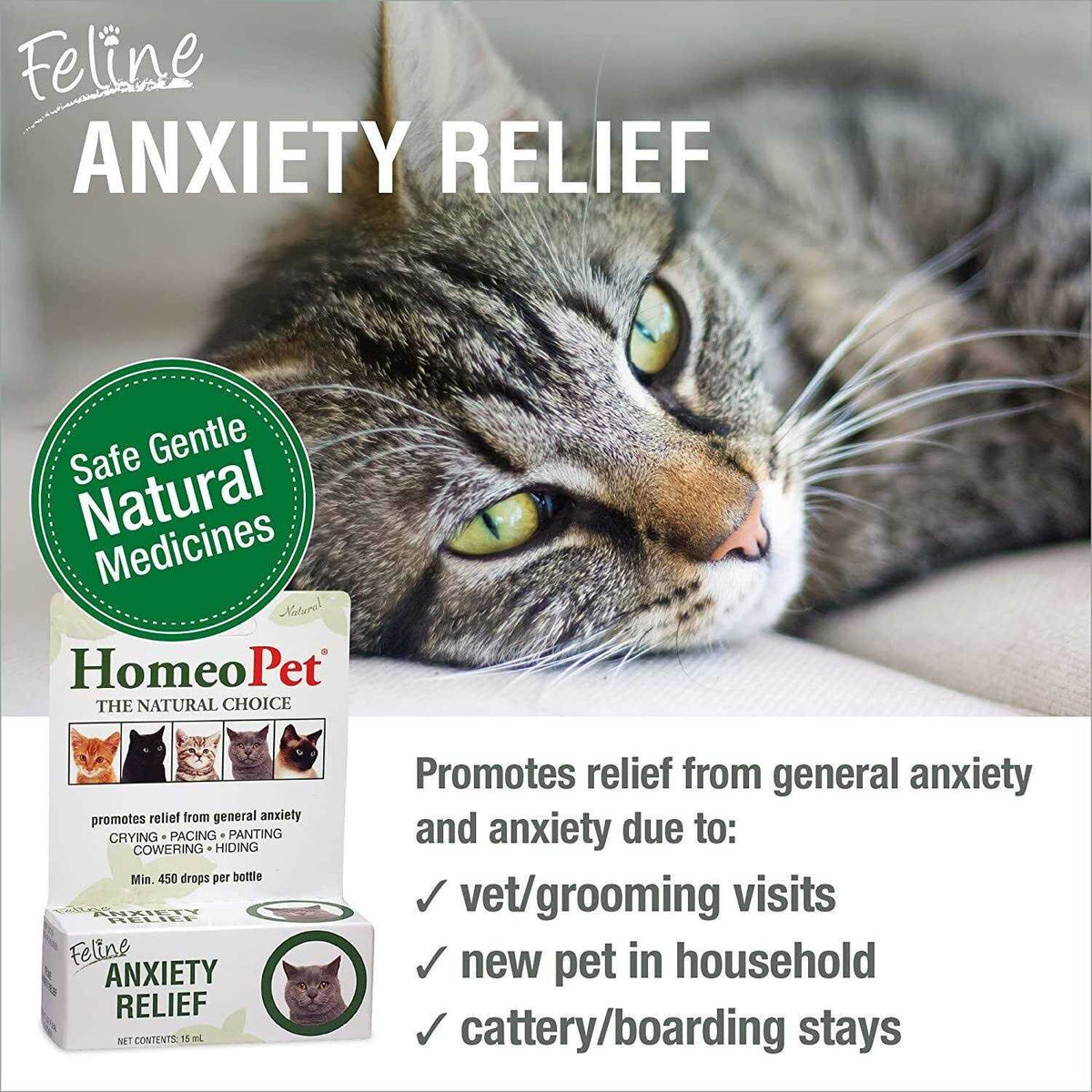 Feline Nose Relief R522293
