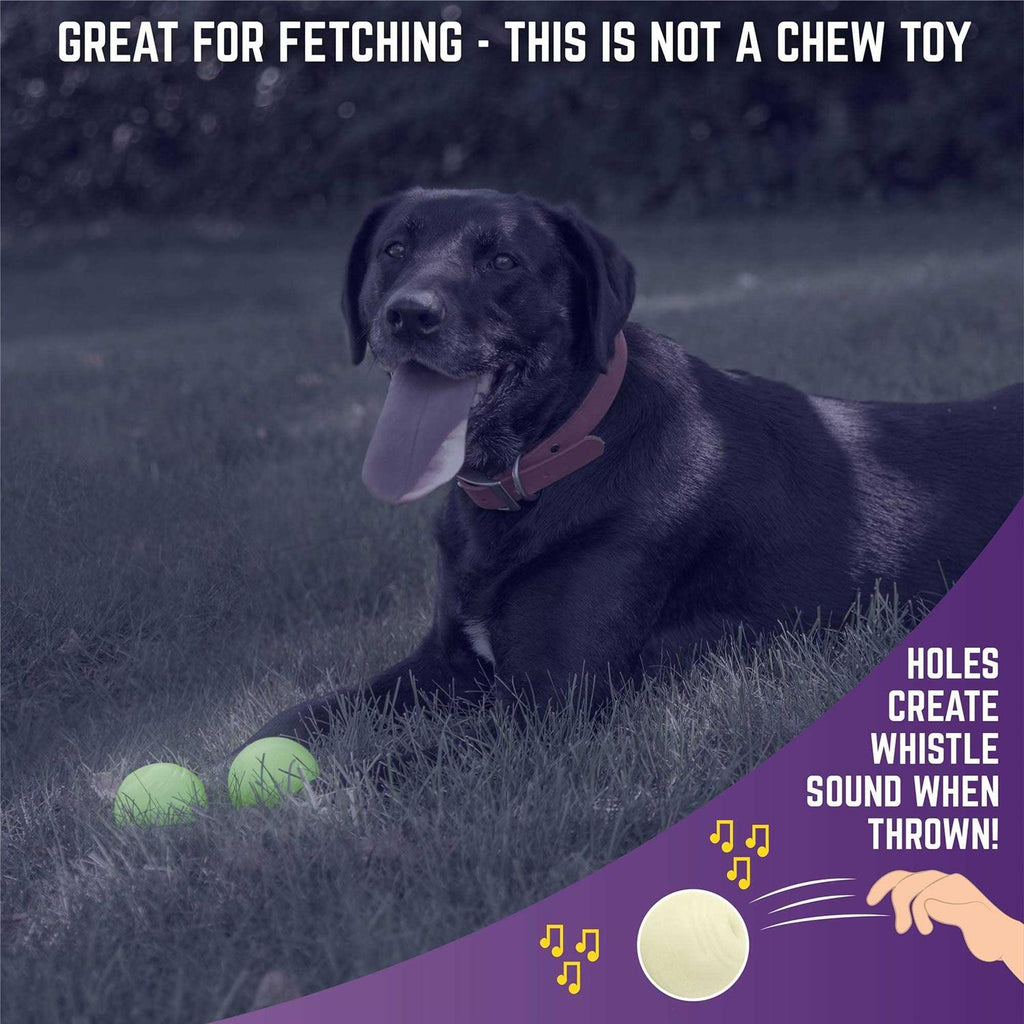 Glow Ball Dog Toys X407400