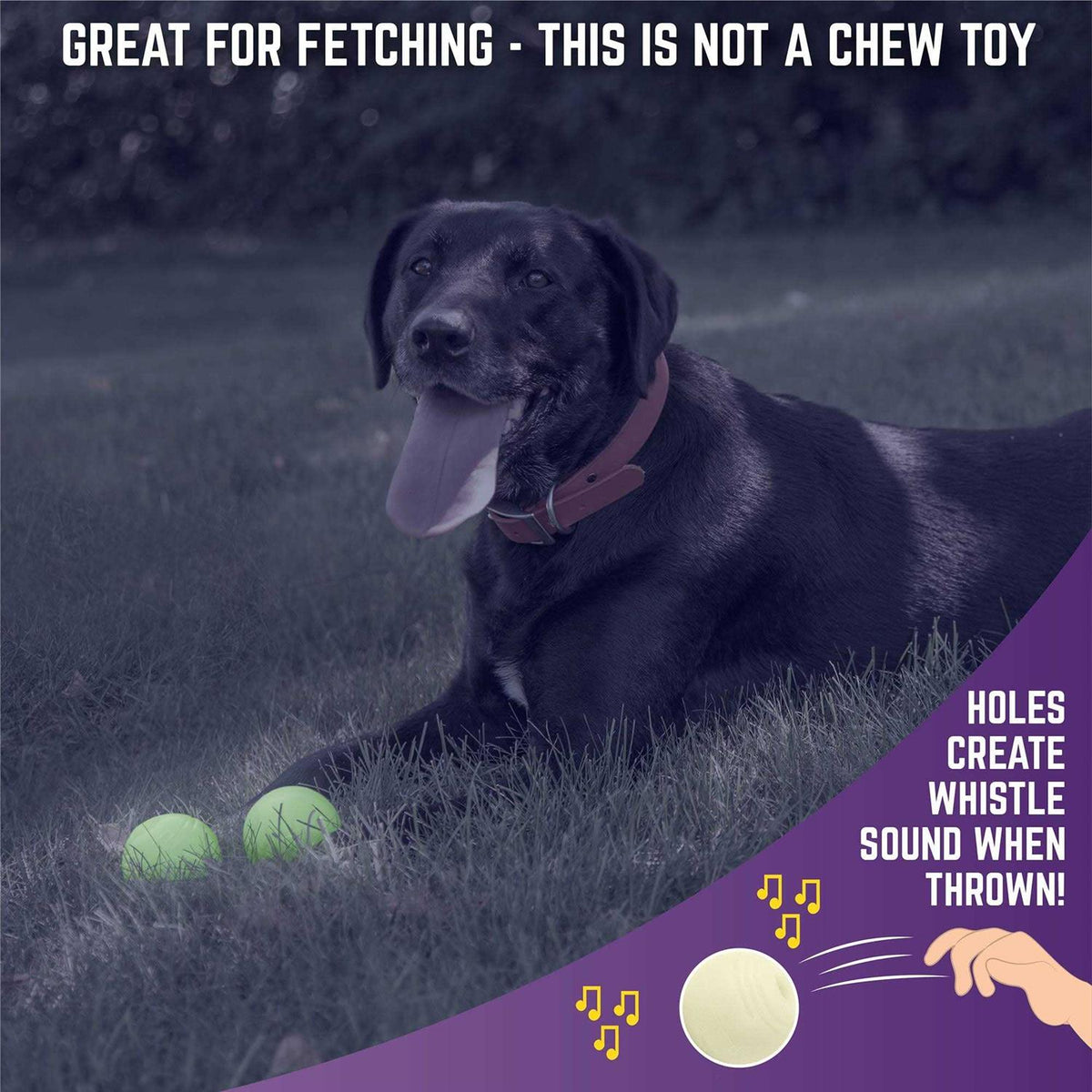 Glow Ball Dog Toys X407400