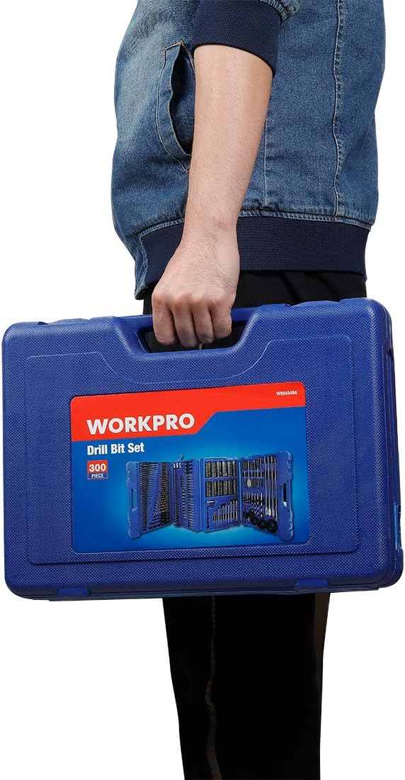 300-Piece Drill Bit Set with Storage Case Y898