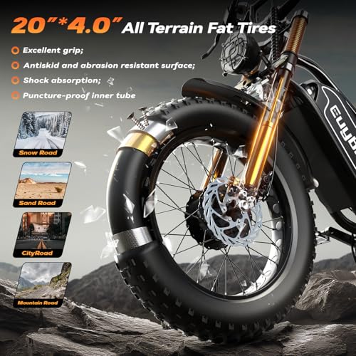2000W Electric Bike with 48V Battery 20"x4.0" Fat Tires A1055