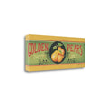 40 x 16 Golden Pears Gallery Wrap Canvas Art C20157
