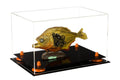 Clear Acrylic Display Case with Orange Risers P94891