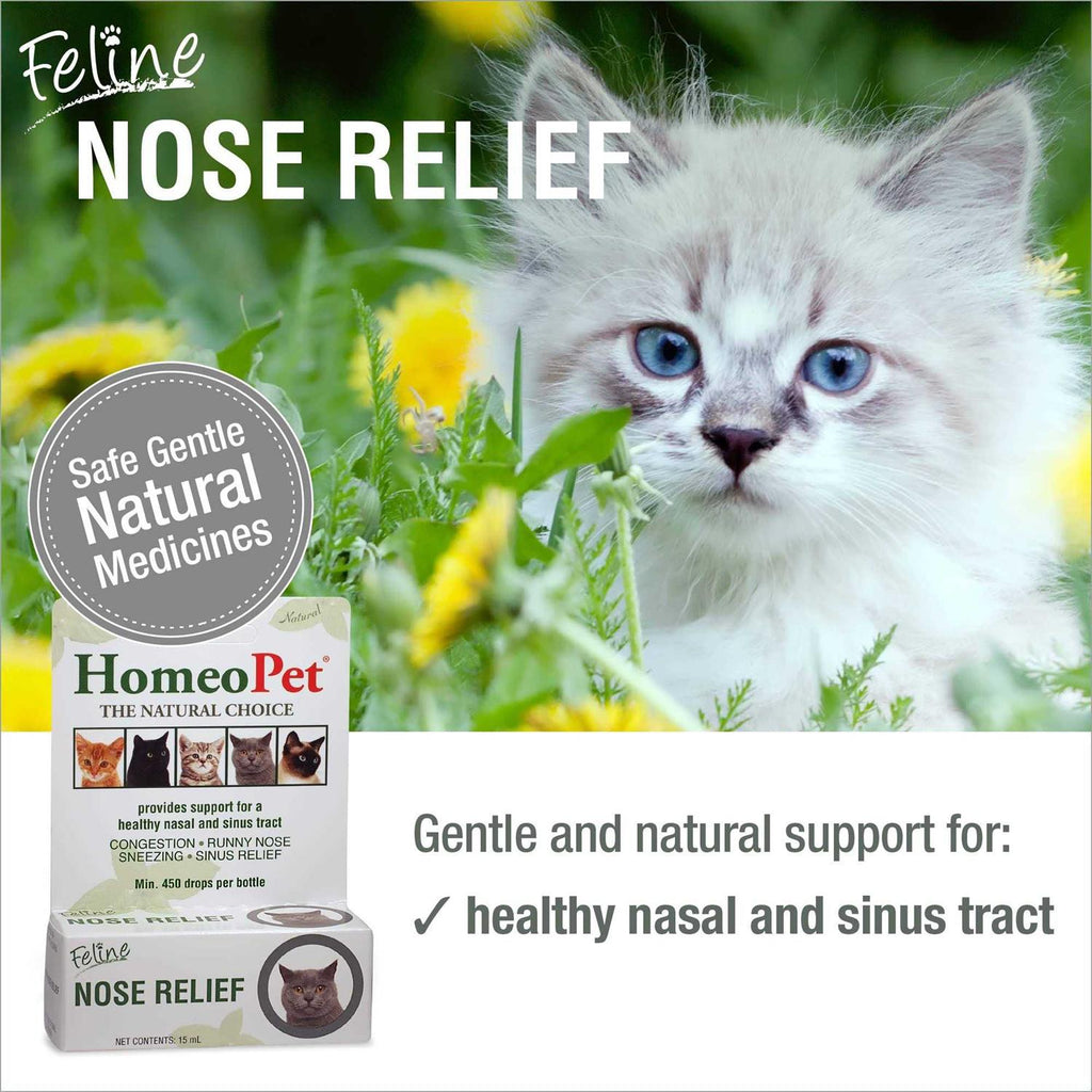 Feline Nose Relief R522293
