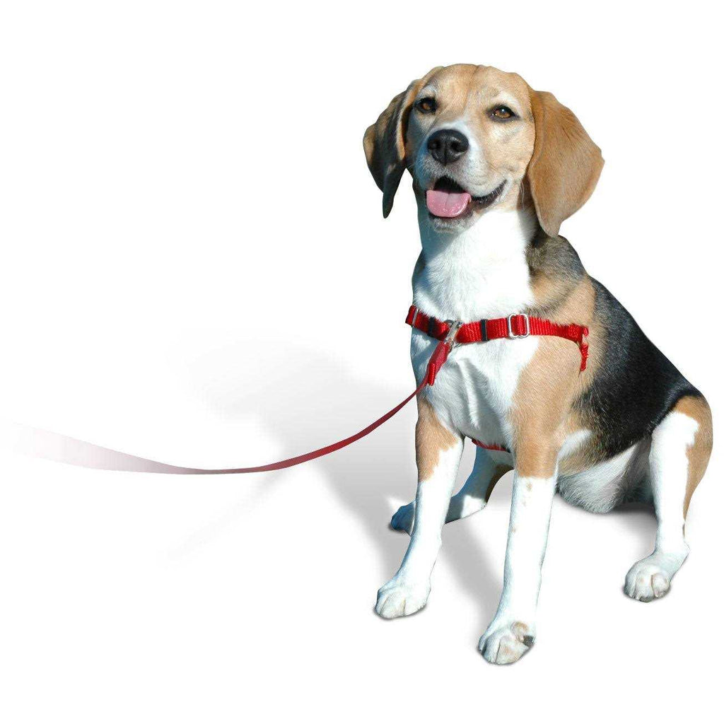 No Pull Dog Harness O27568
