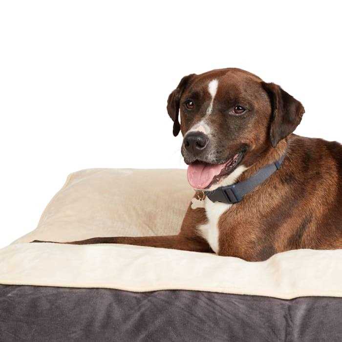 Dog Bed H5298