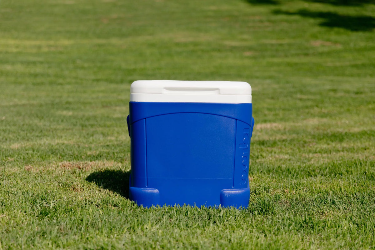 60-Quart Roller Cooler V124103