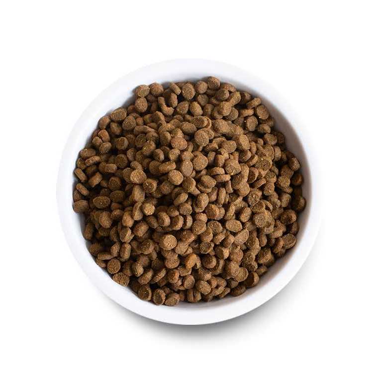 Grain Free Lamb Dry Cat Food C46003