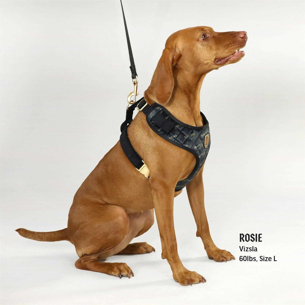 Quilted Pet Harness K371